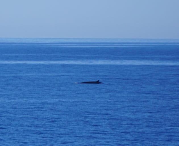 Paz Del Mar Villa Charco del Palo Dış mekan fotoğraf